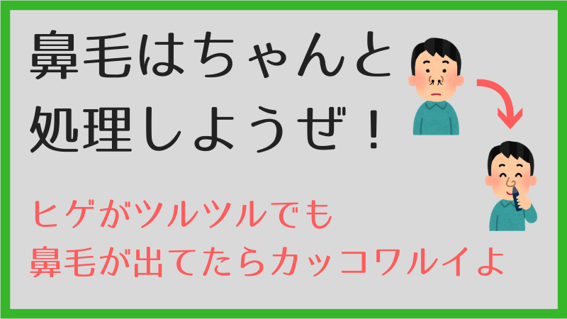 ヒゲがツルツルでも鼻毛が出ていたらカッコワルイから処理しようぜ 26 26ブログ